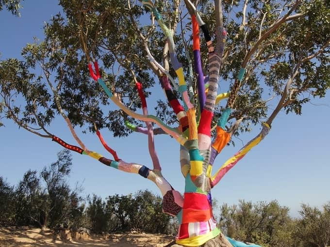 Yarn Bombimg Tree Color Creativity